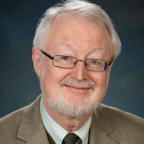 headshot of dr kinghorn