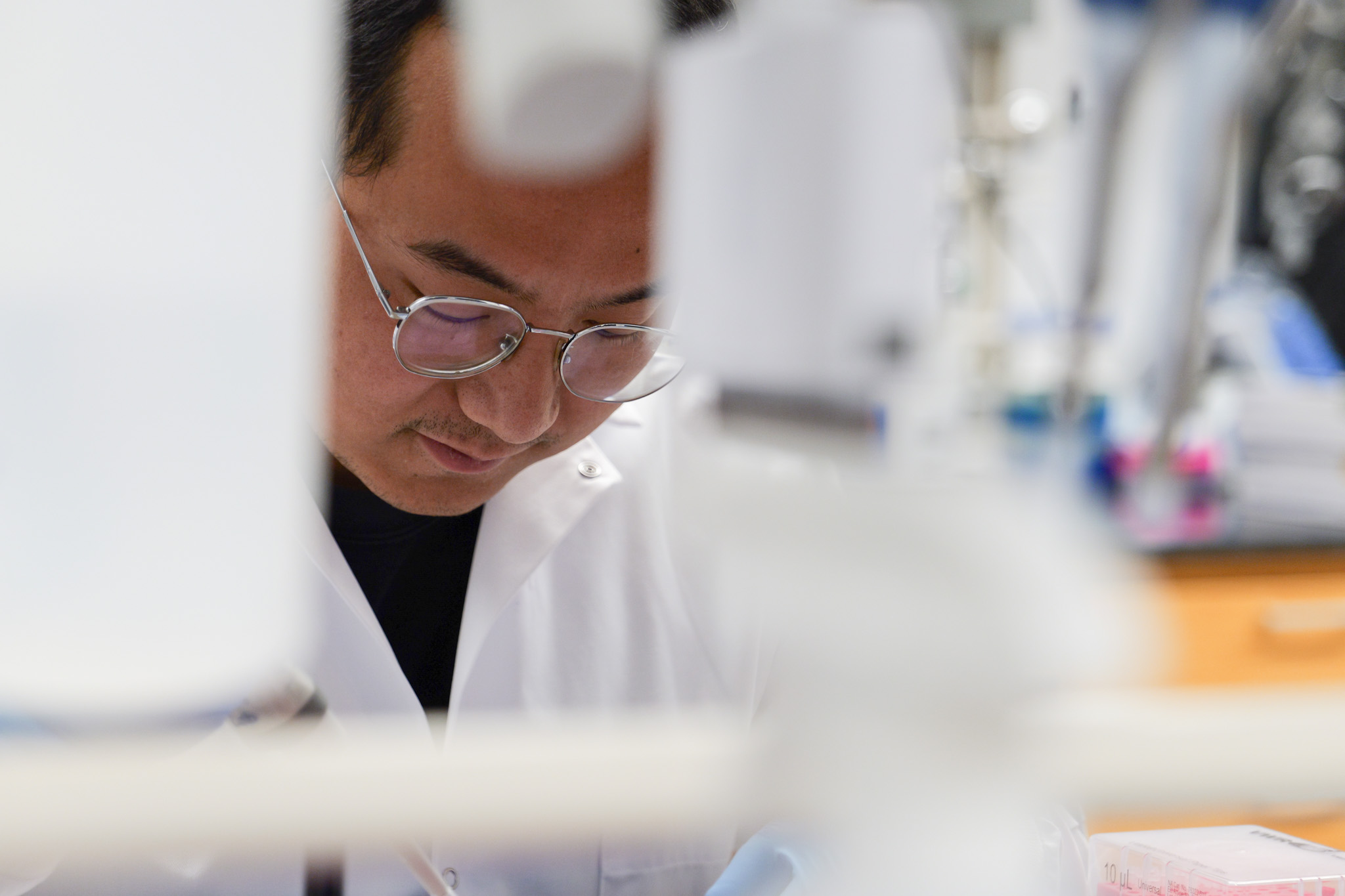 Postdoctoral researcher using pipette at the lab bench