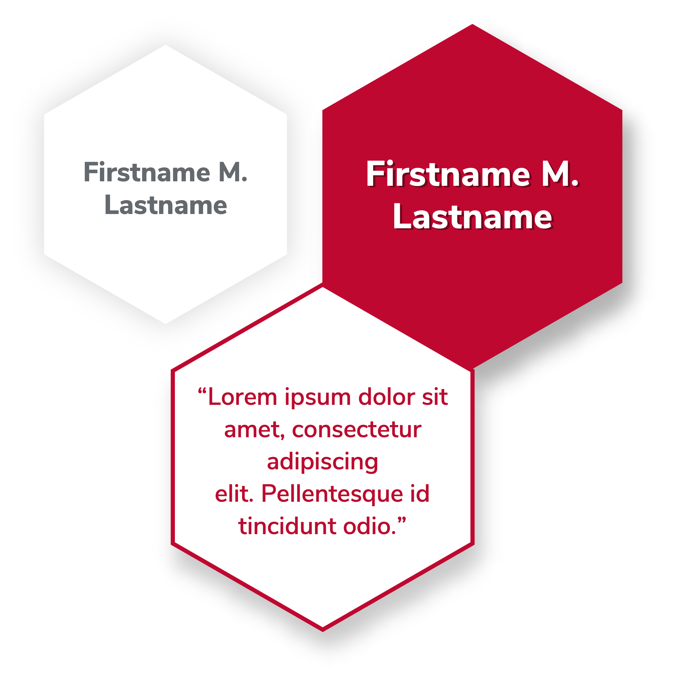 hexagon panel examples