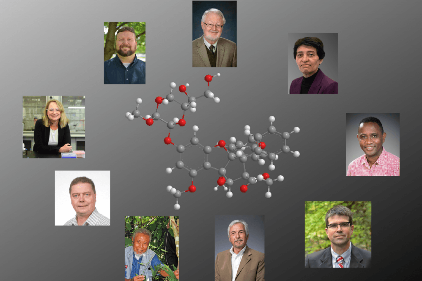 Graphic depicting all primary investigators of the P01-funded project