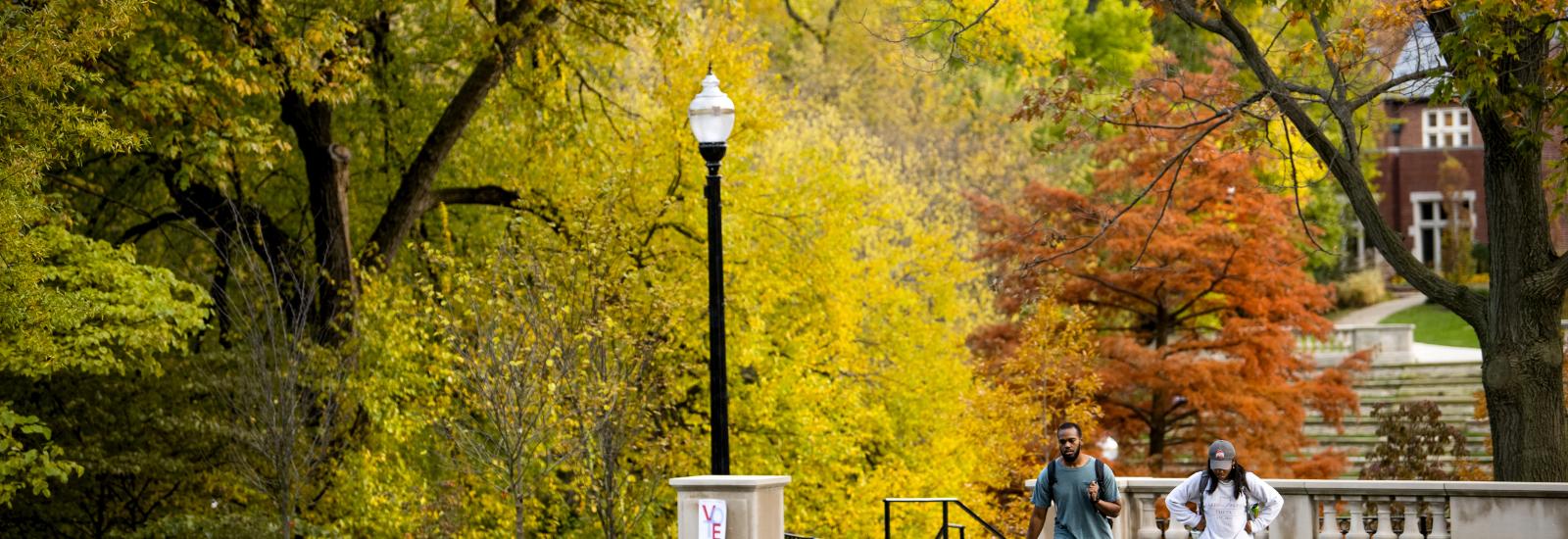 campus in the fall with two people walking