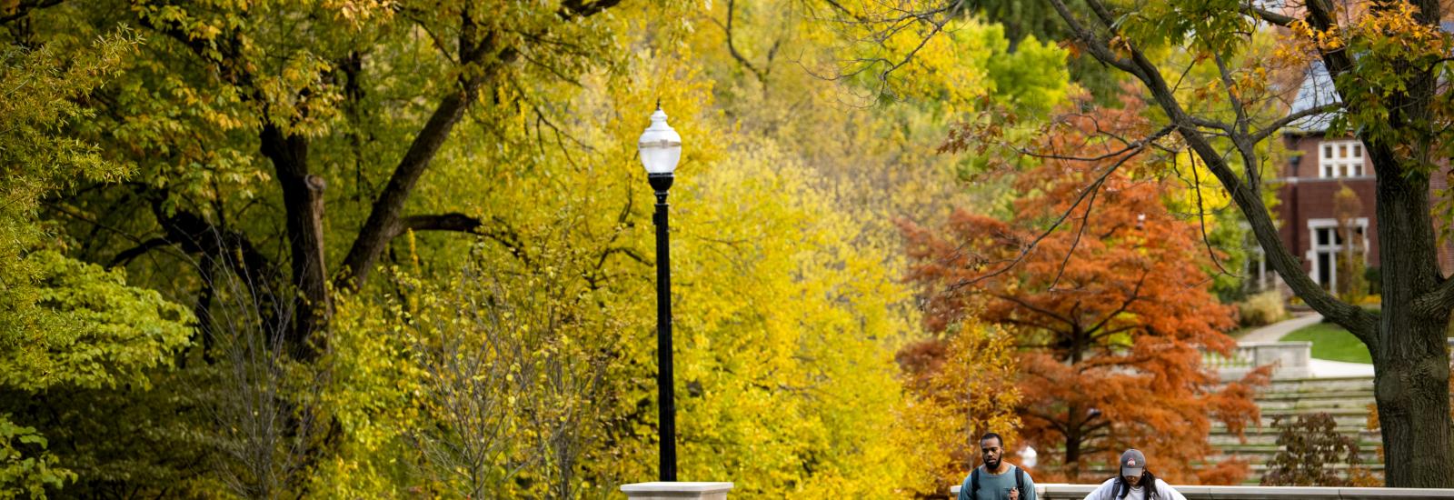 campus in the fall with two people walking