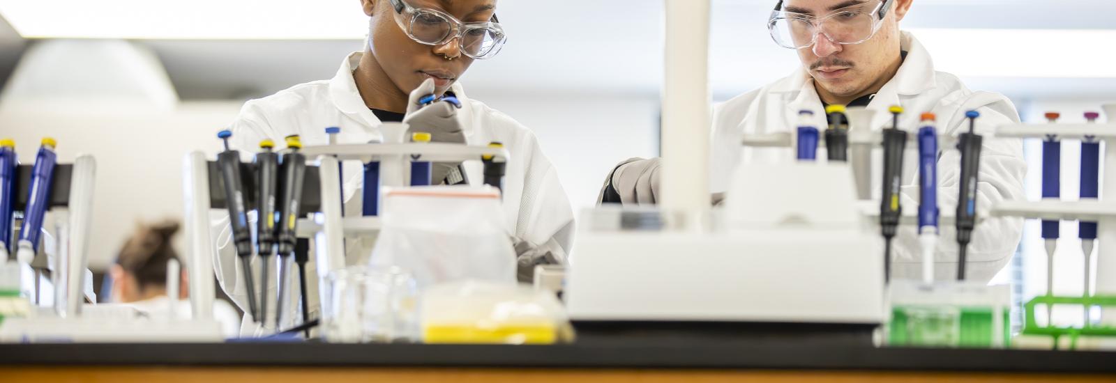 two people working on experiment