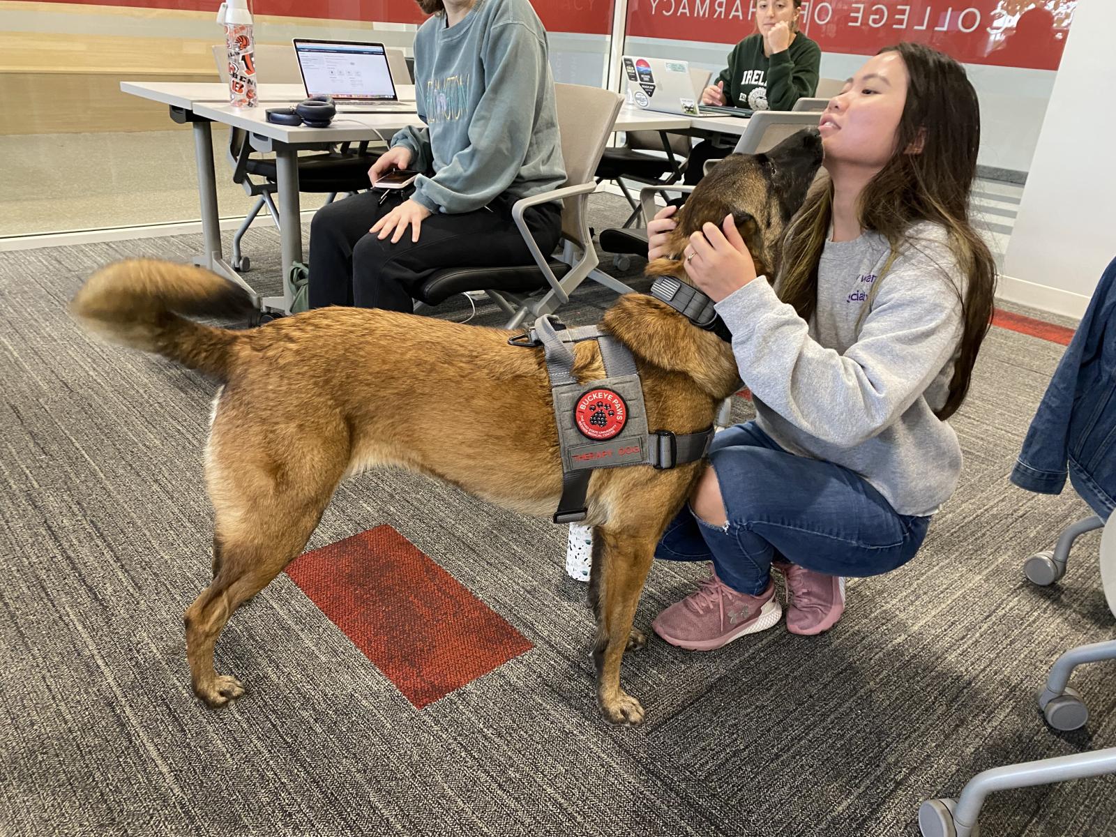 student petting a dog