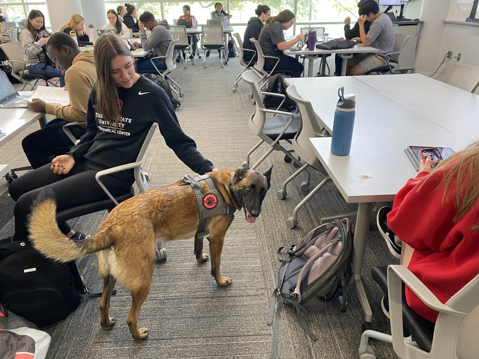 student petting a dog