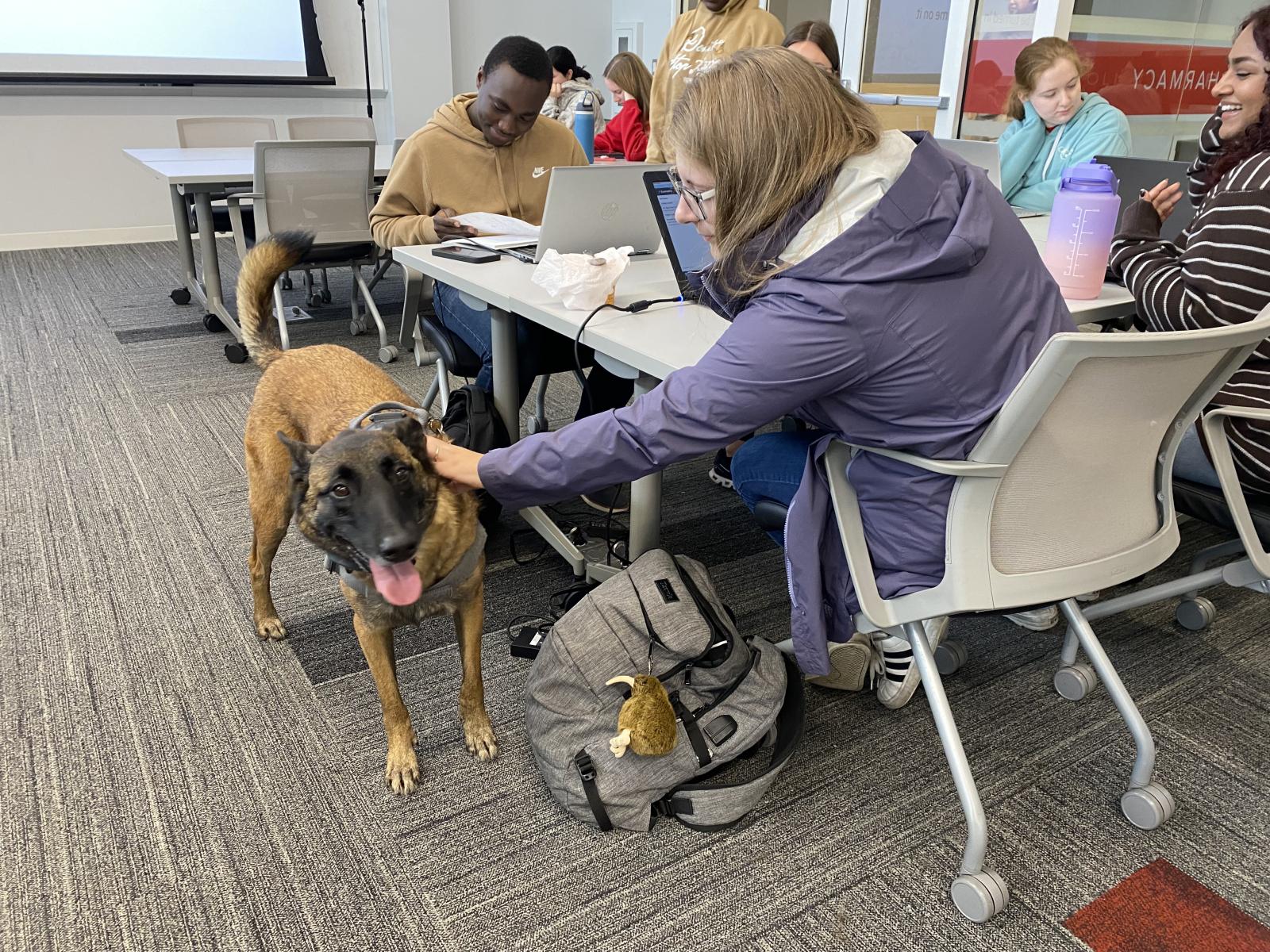 student petting a dog