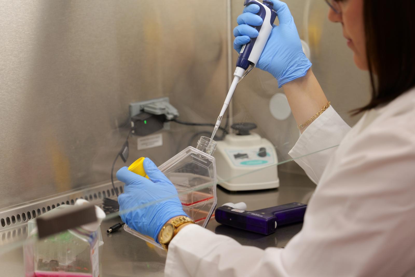 A person in a white lab coat transfers cells from a flask with a pipette