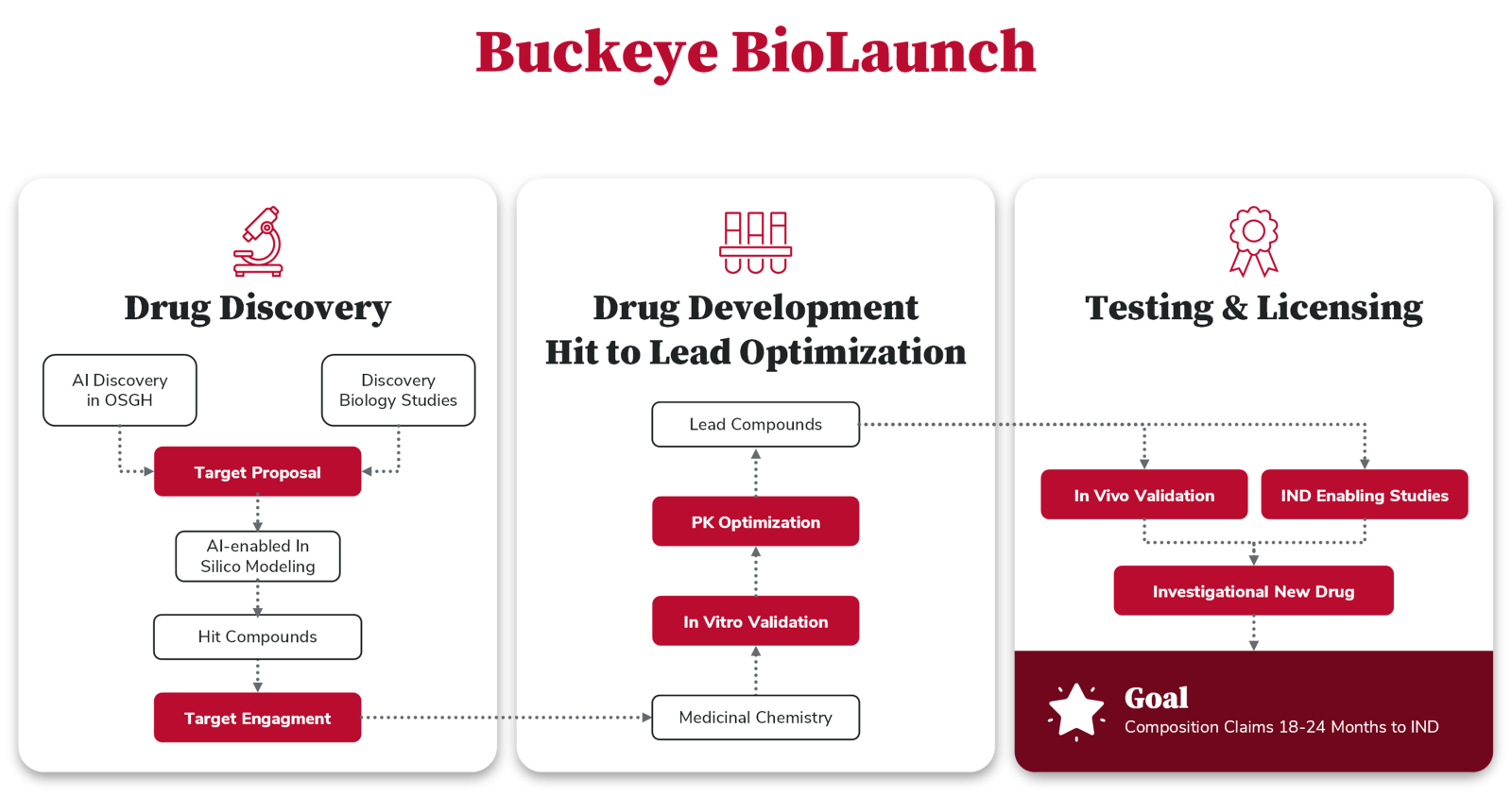 a chart showing path of drug discovery