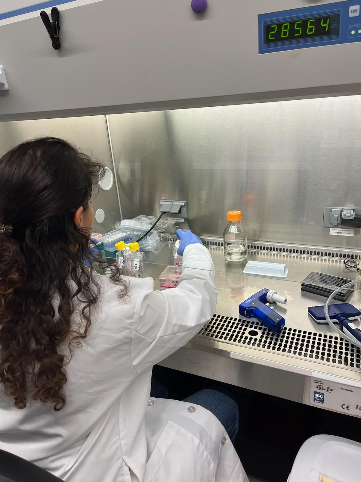 Taheri conducting an experiment in the lab