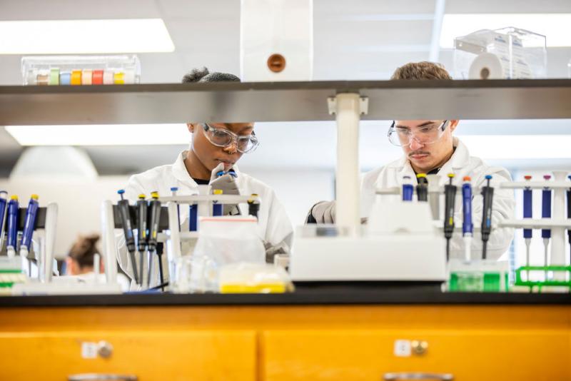 Two students standing at a bench doing research