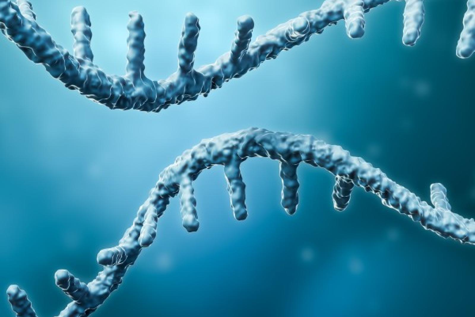 RNA sequence